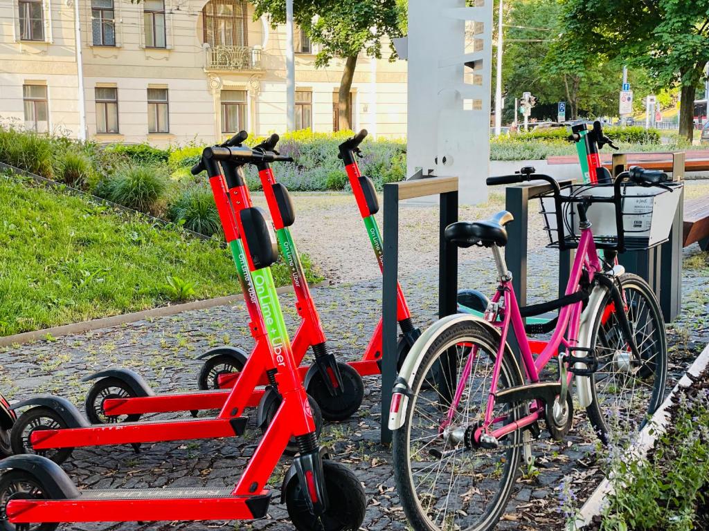 Centrum apartment - 10