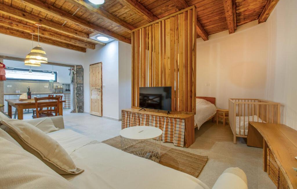 a living room with a couch and a tv at Apartmaji Robida in Sežana