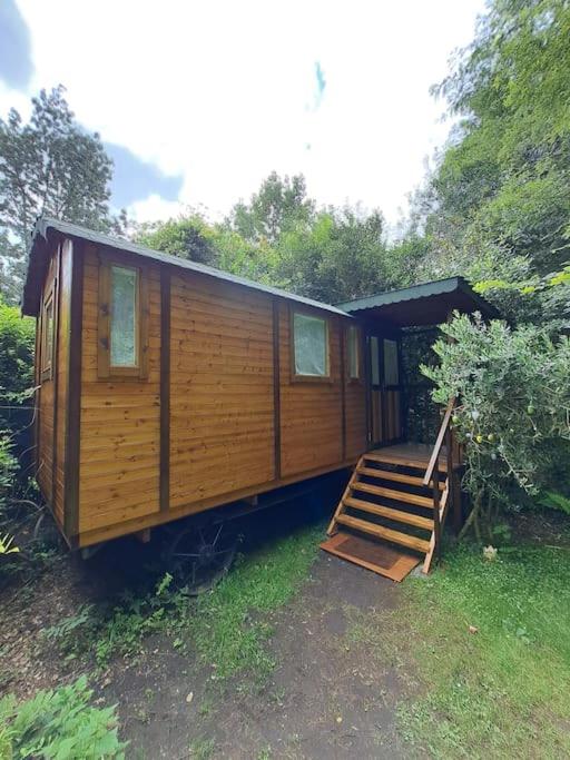 une cabane en bois avec un escalier en gazon dans l'établissement Magnifique roulotte en plein nature, à Saint-Jean-de-Boiseau