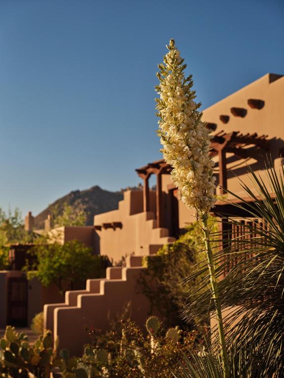 Four Seasons Resort Scottsdale at Troon North photo