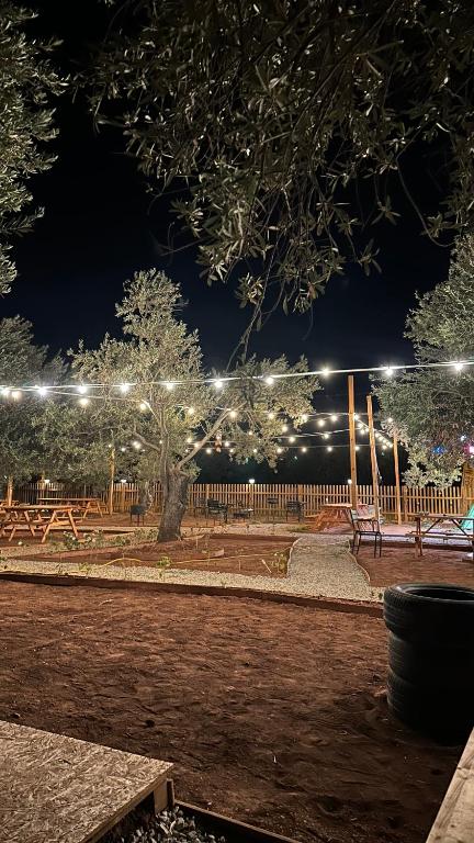 Fotografie z fotogalerie ubytování Vamos Camping v destinaci Ayvacık