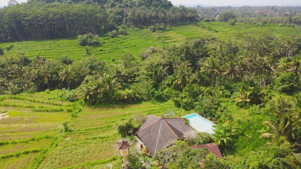 an aerial view of a house in a field at Villa Dandan Bukit in Gianyar