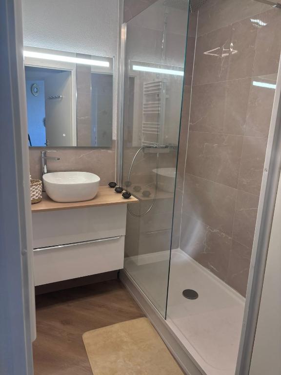 une salle de bain avec douche et lavabo dans l'établissement Joli T2 Métro la vache, à Toulouse