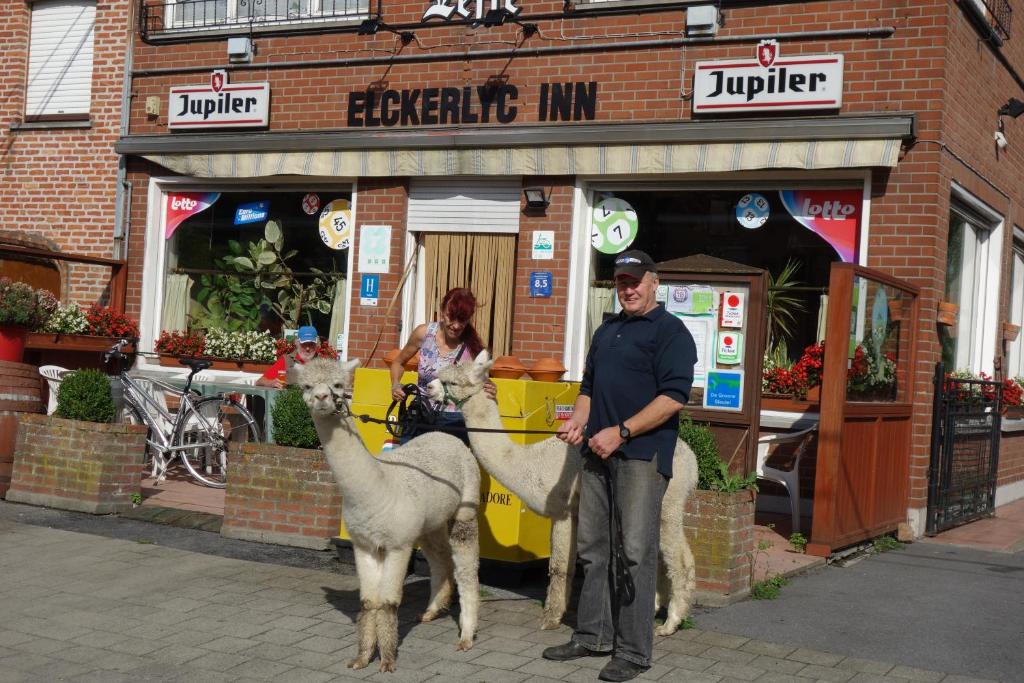 Hosté ubytování Elckerlyck Inn Hotel
