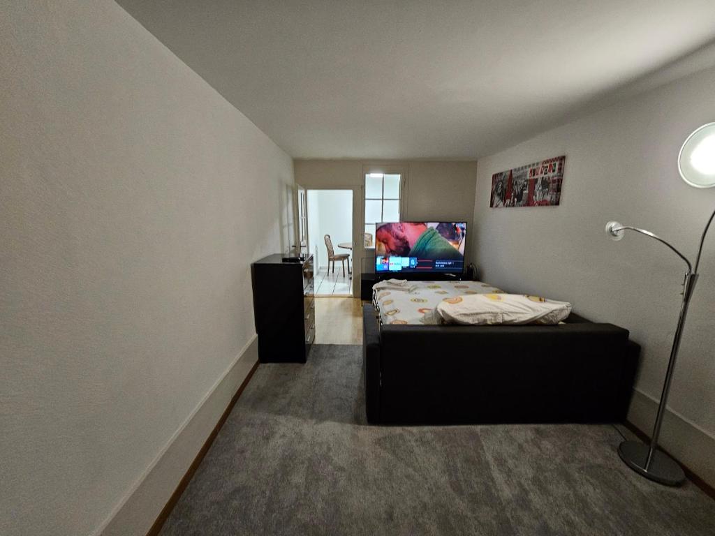 Real Swiss Classic Apartment & Up to 7 Seats Cars Rental Option