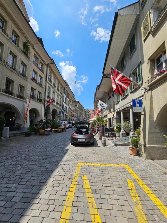 Real Swiss Classic Apartment & Up to 7 Seats Cars Rental Option - Resim 7