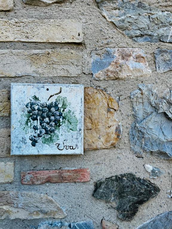 Fotografie z fotogalerie ubytování Uva - Poderone v destinaci Triana