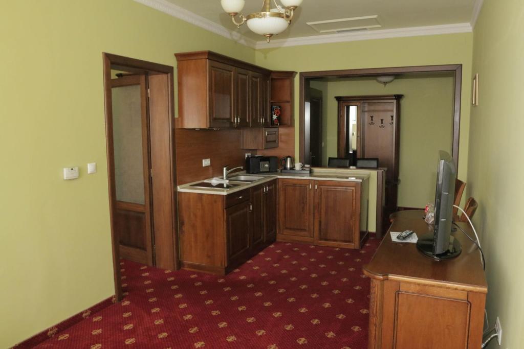 Kuchyň nebo kuchyňský kout v ubytování Hotel Slavia