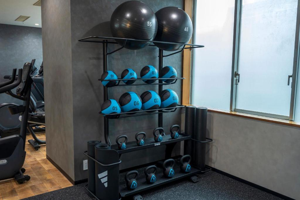 Fitness centrum a/nebo fitness zařízení v ubytování ART HOTEL Nippori Lungwood