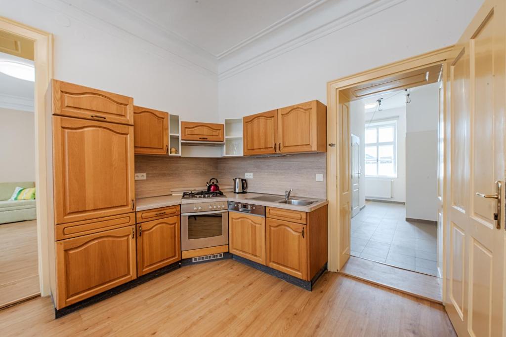 Kuchyň nebo kuchyňský kout v ubytování Apartmány Pod starou věží