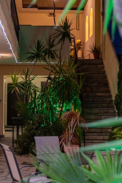 Zahrada ubytování Hotel Petunia