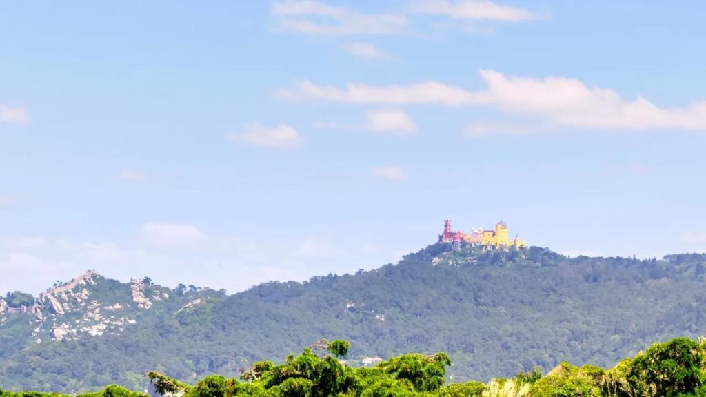 WOT Sarrazola Soul - Resim 8