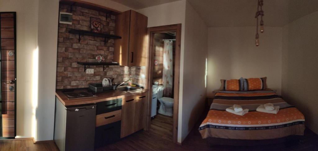 Kuchyň nebo kuchyňský kout v ubytování Guest House Stevovski
