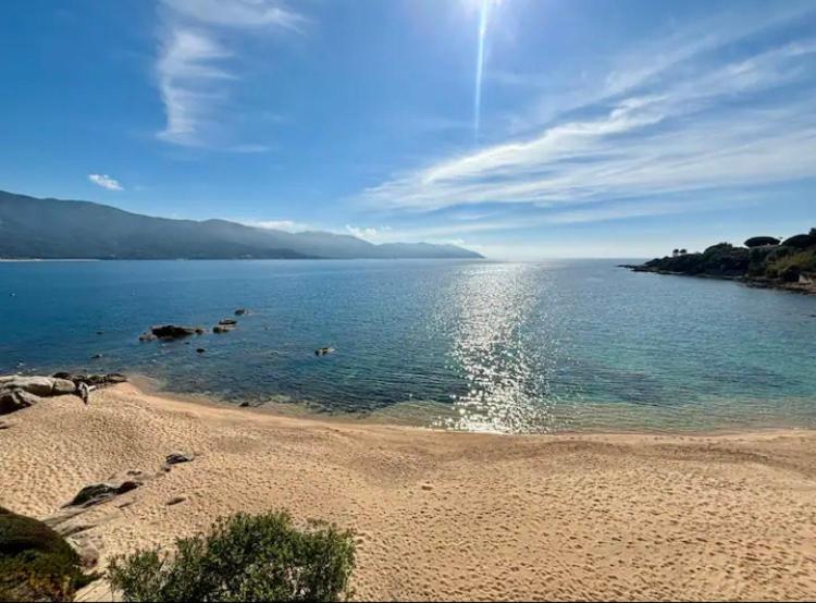 - une plage au soleil réfléchissant sur l'eau dans l'établissement Pieds dans l'eau, sur une plage, à Casaglione