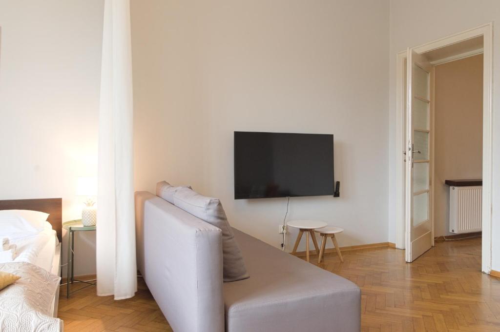 Televízia a/alebo spoločenská miestnosť v ubytovaní Unique apartments Krasinskiego street