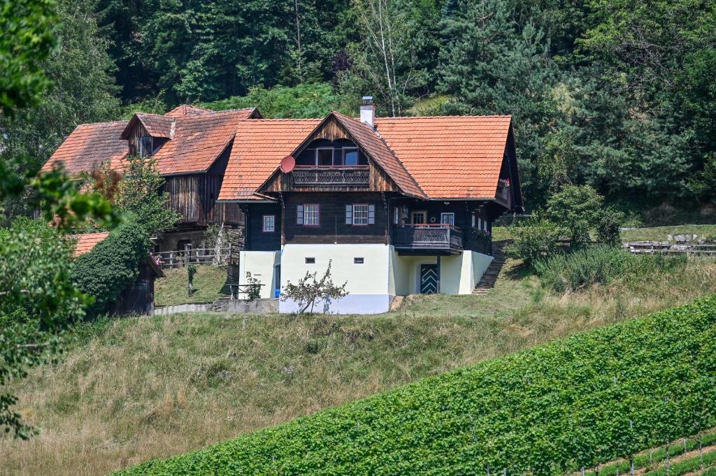 una casa con un tetto arancione su una collina di Jagawirt Bauernhaus a Grubberg