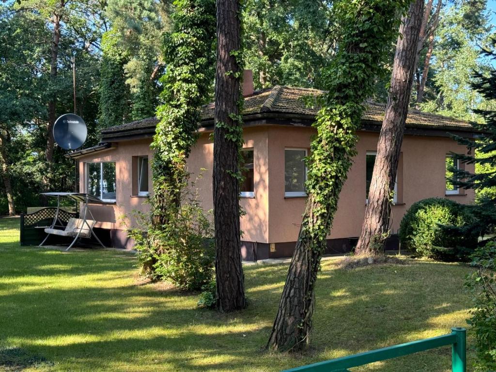 a house with trees in front of it at Letni domek na wydmie in Pobierowo