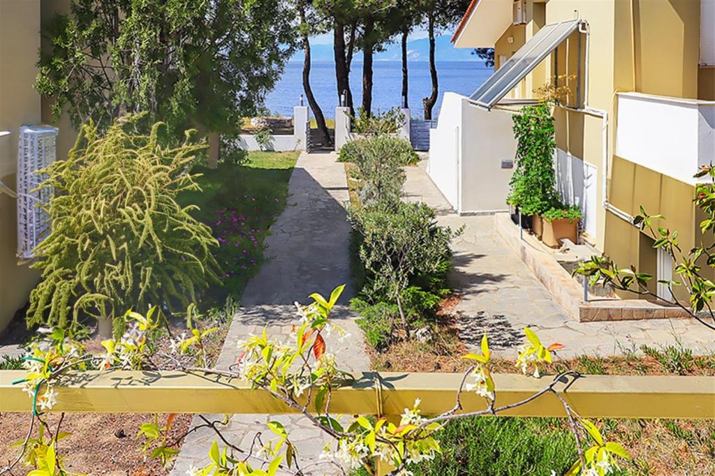 A garden outside Helios Villa Sea Front - 3 bedrooms 7 guests