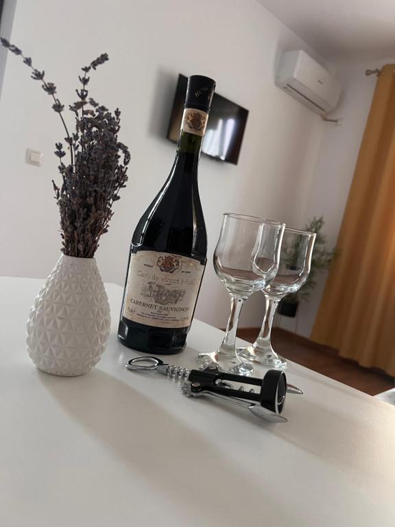 Vila RAA Huși - Habitación Doble Con Balcón