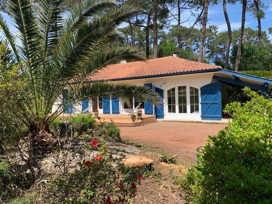 Photo de la galerie de l'établissement Villa Les Pives, à Seignosse