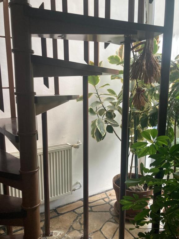 Zahrada ubytování Apartman-Donau Tát