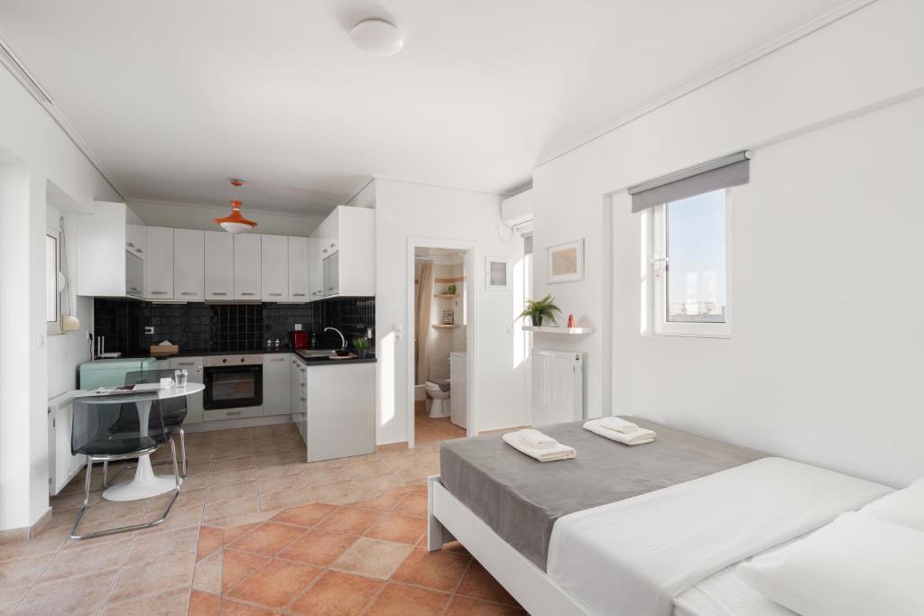 Large terrace studio