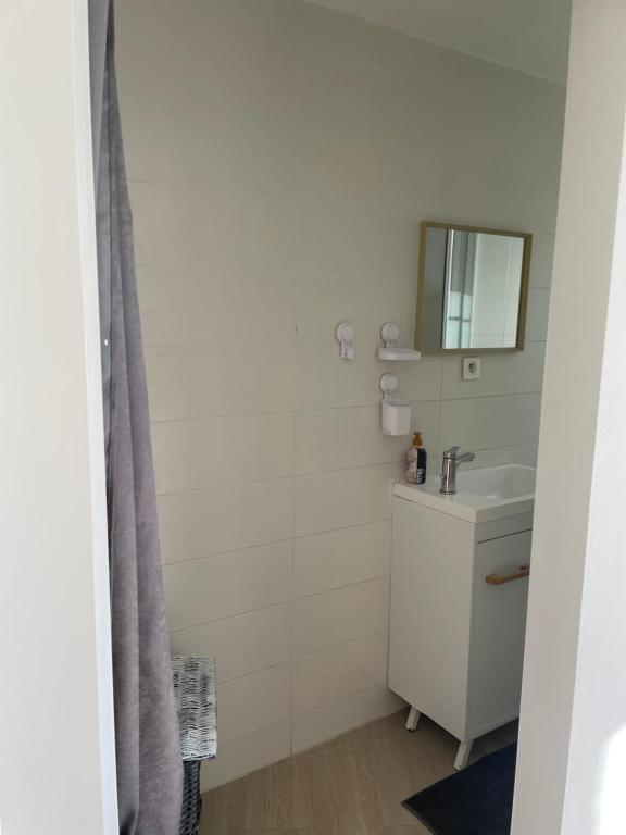 une salle de bain avec un lavabo et un miroir dans l'établissement Dépendance 3 pièces Toulon, à Toulon