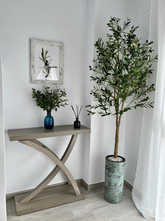a table with a potted tree in a room at Dailos Ávila in Ávila