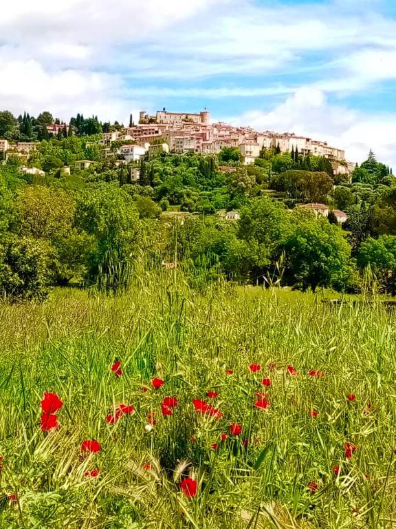 un champ de fleurs rouges dans un champ d'herbe dans l'établissement Flat and Terrace in Callian, à Callian
