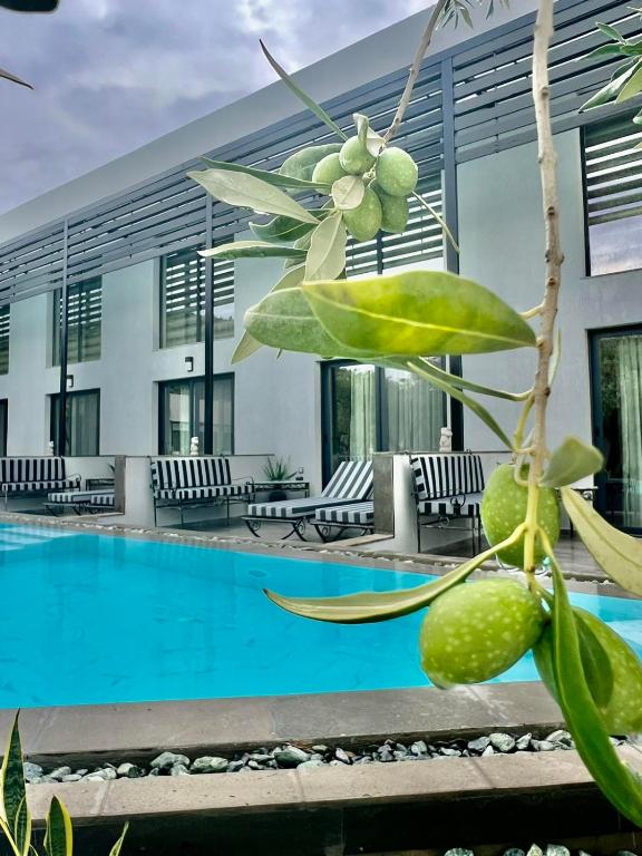 Bazén v ubytování B&B Lofts Thassos nebo v jeho okolí