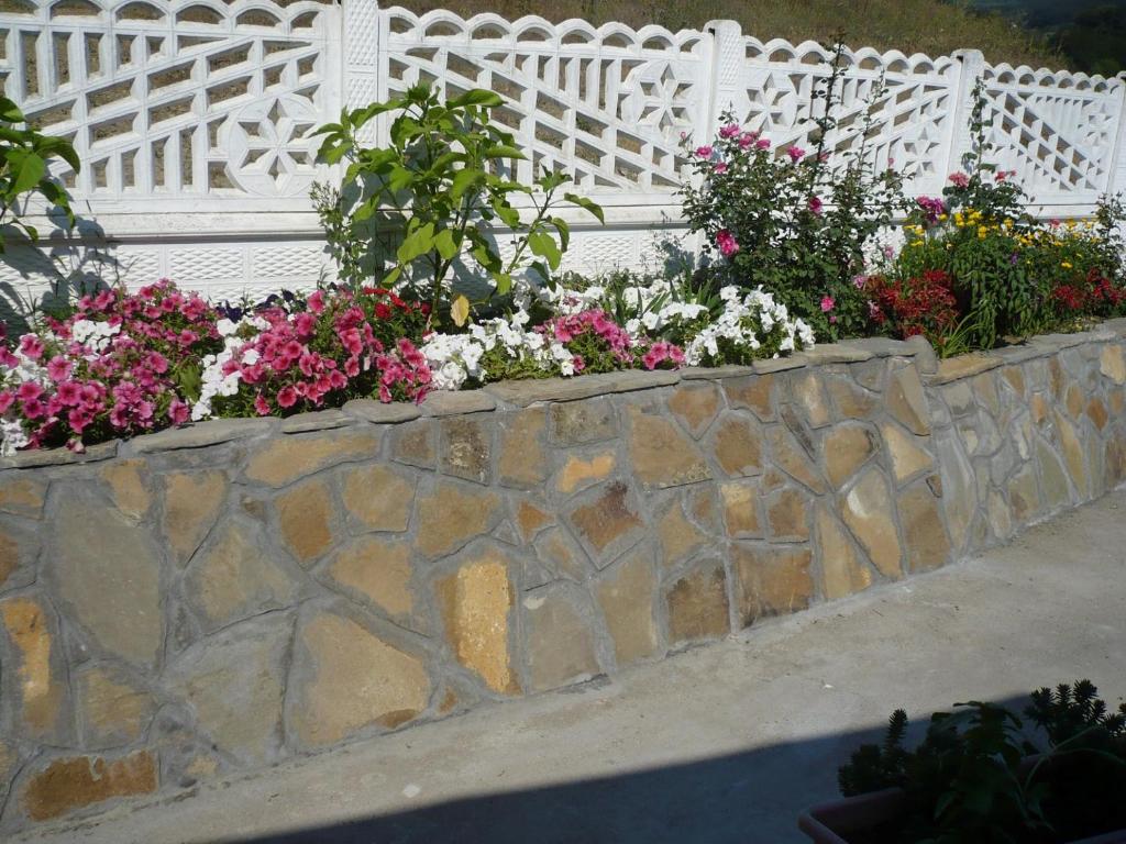 Zahrada ubytování Motel Stara Vrba