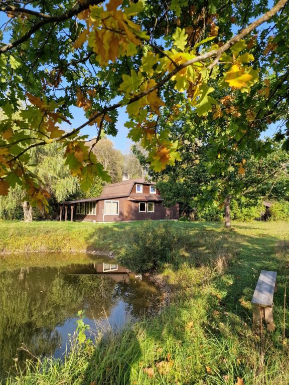 Gallery image of Sauna House in the forest in Druzhili