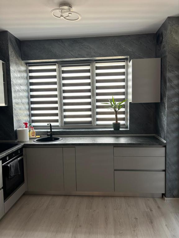 eine Küche mit Spüle und Fenster in der Unterkunft Alexia apartment in Târgu Mureș