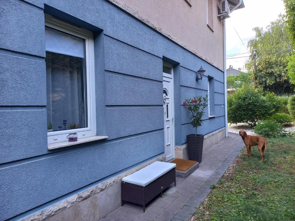 Domácí mazlíčci ubytovaní s hosty v ubytování Kertész14 Apartman