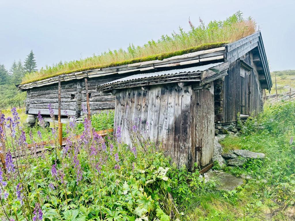 Zahrada ubytování Hytte på idyllisk seter