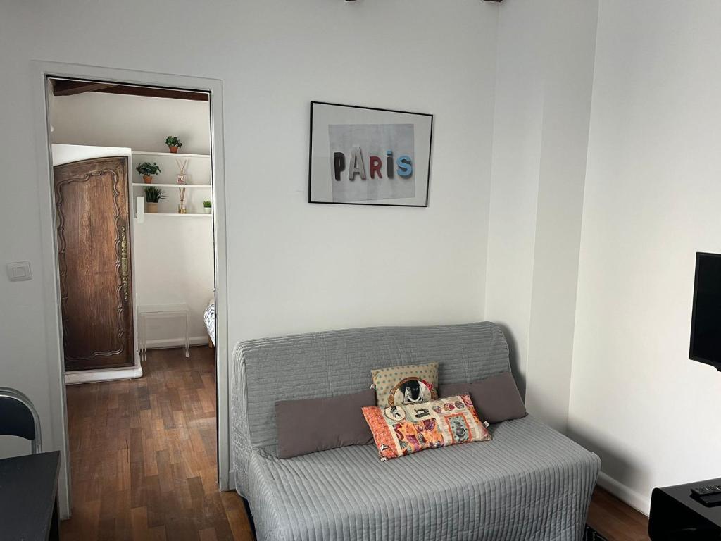- un salon avec un canapé gris et 2 oreillers dans l'établissement Appartement cosy près du Panthéon, à Paris