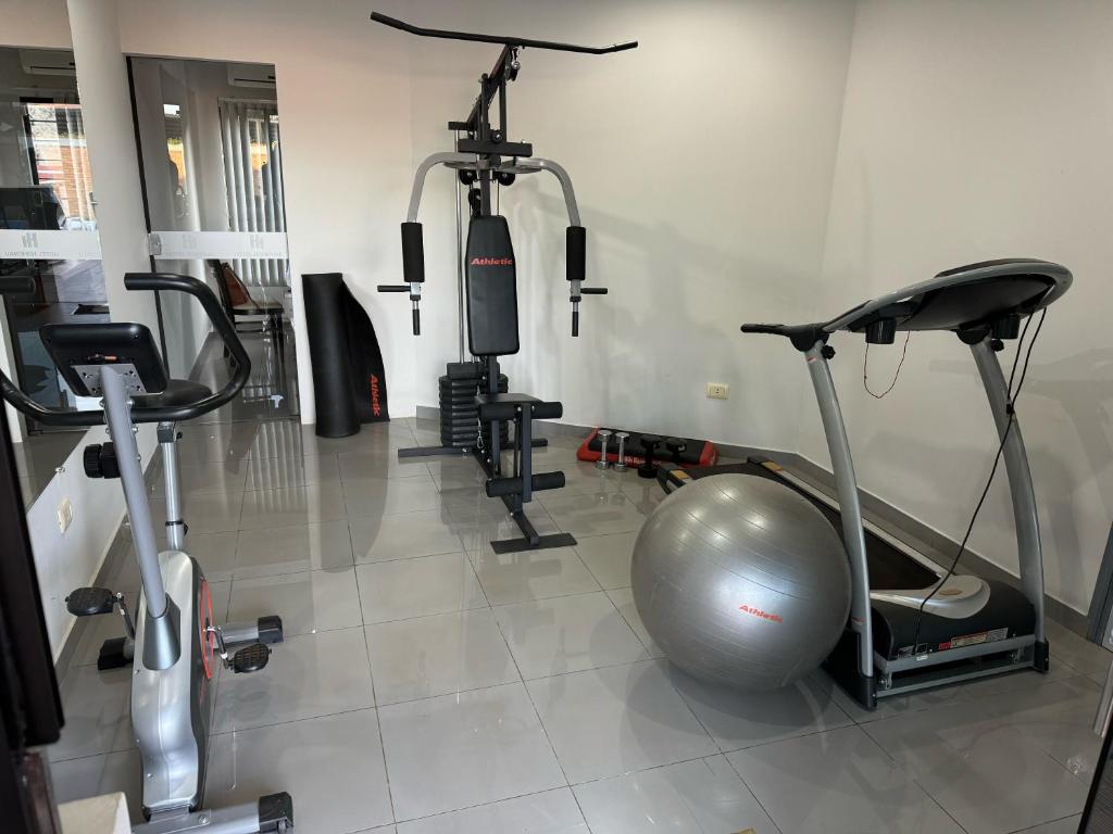 Fitness centrum a/nebo fitness zařízení v ubytování Hotel Hohenau