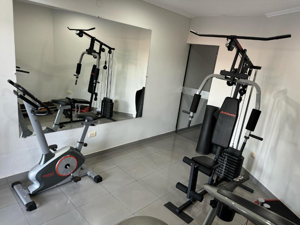 Fitness centrum a/nebo fitness zařízení v ubytování Hotel Hohenau