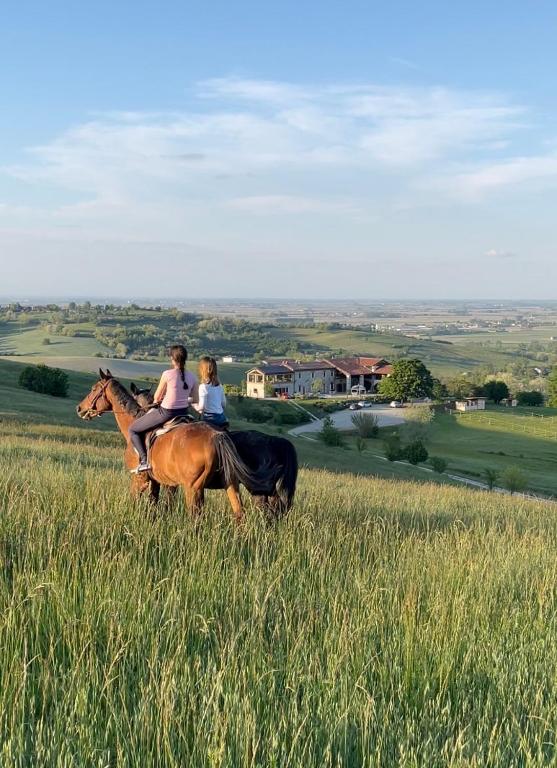 B&B Tenuta il Galletto