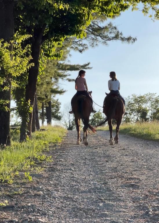 B&B Tenuta il Galletto