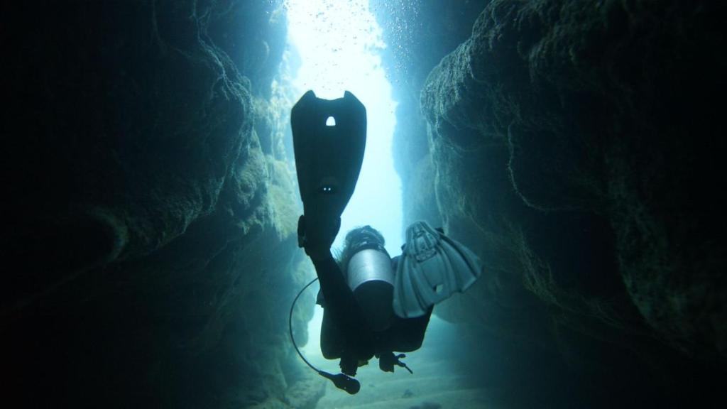 Hosté ubytování Dive and Surf 1