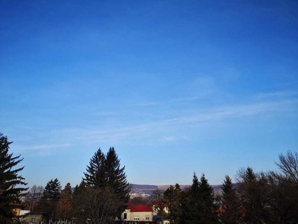 Villa-Hotel Escala - Resim 33