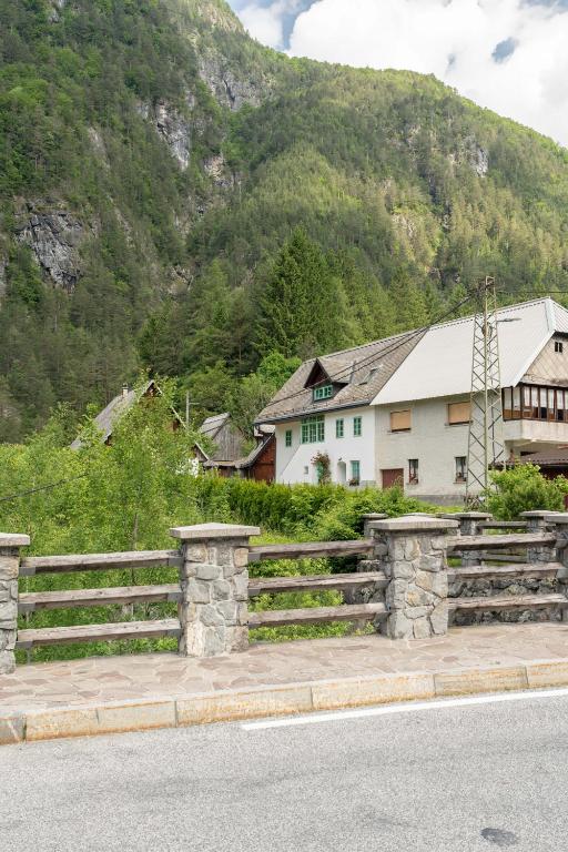 Příroda nedaleko apartmánu