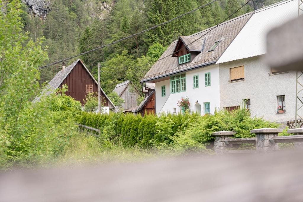 Příroda nedaleko apartmánu