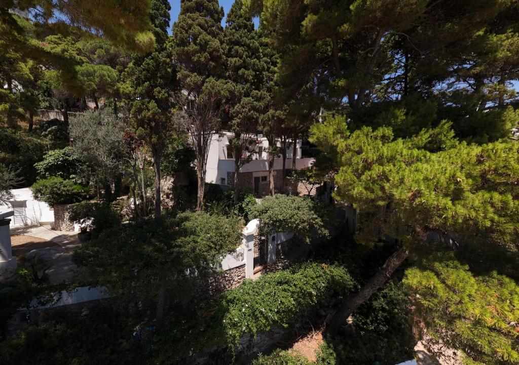 Zahrada ubytování Casa Schiattarella Capri