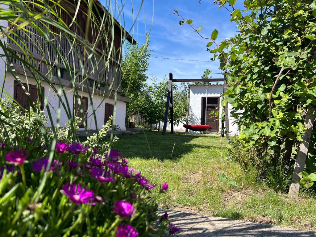 Zahrada ubytování Nest Apartman