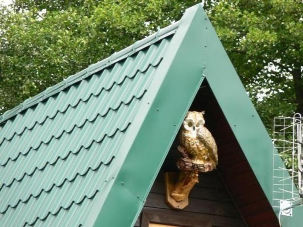 Fotografia z galérie ubytovania Ferienhaus für 4 Personen ca 85 qm in Barczewo, Masuren-Ermland Masurische Seenplatte v destinácii Barczewo
