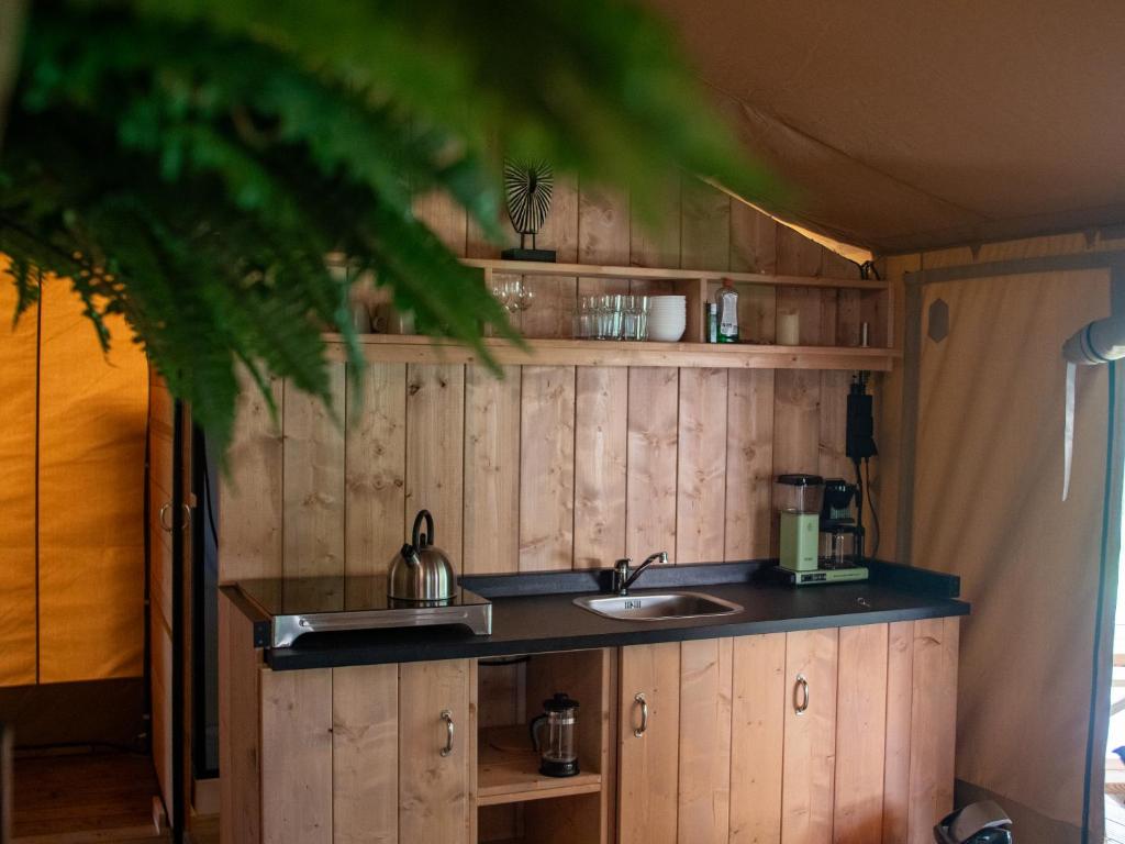 Kuchyň nebo kuchyňský kout v ubytování Ecolodges De Dreef