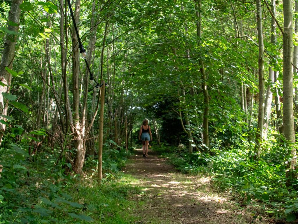 Hosté ubytování Ecolodges De Dreef