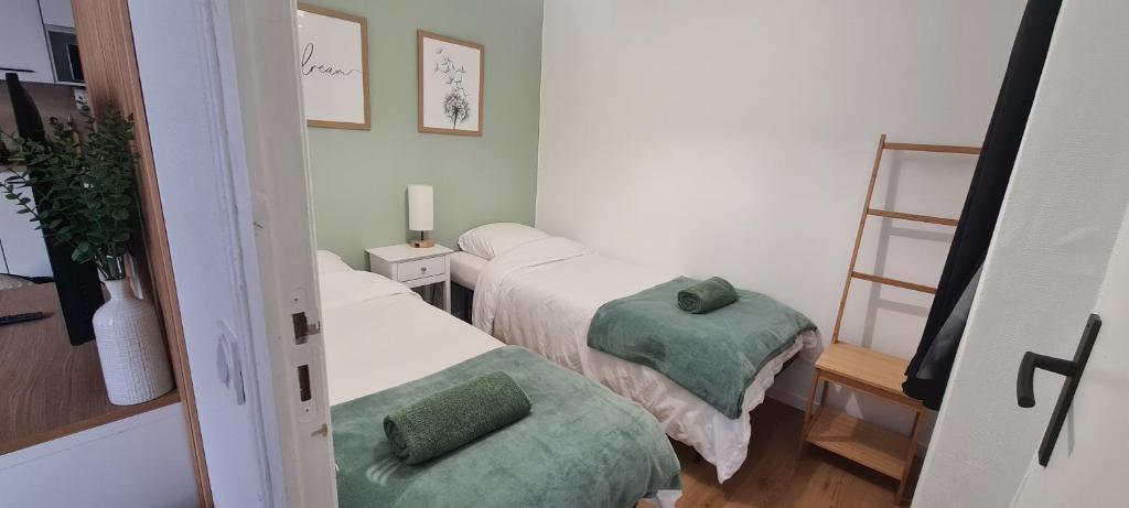 Cette petite chambre comprend 2 lits avec des oreillers verts. dans l'établissement L'instant Troyen, à Troyes